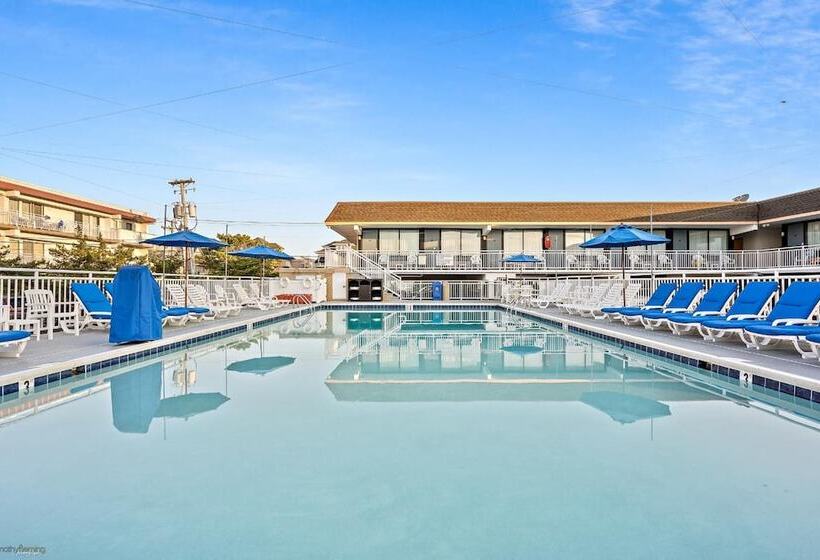 酒店 Harris House By The Beach