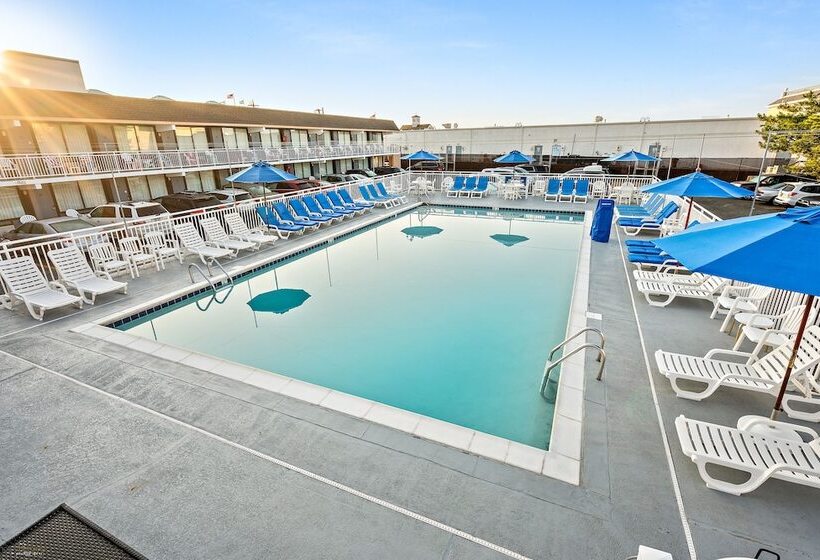 酒店 Harris House By The Beach