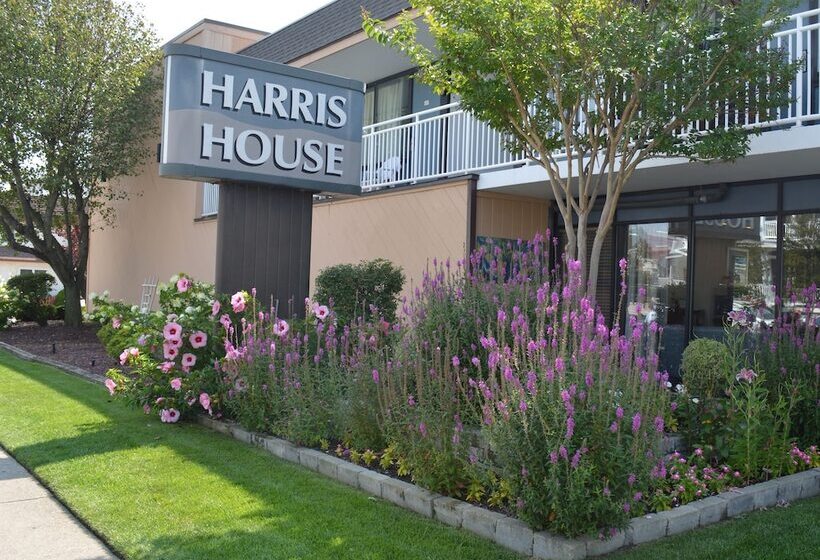 酒店 Harris House By The Beach