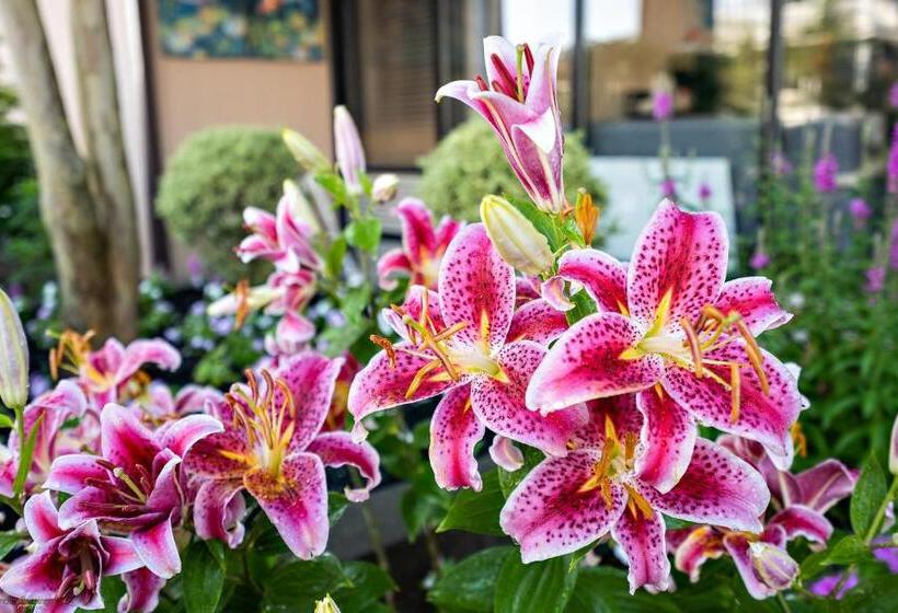 酒店 Harris House By The Beach