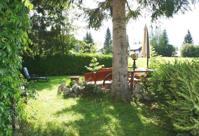 Отель Haus André