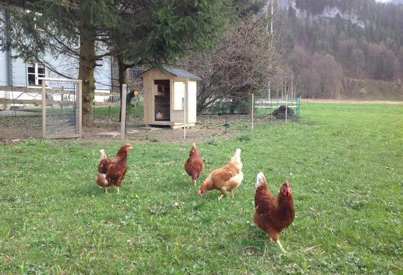 Отель Haus Isabella