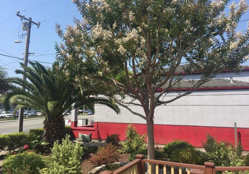 호텔 Hitching Post Studios Inn