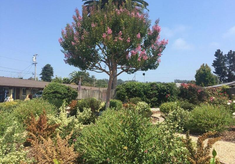 호텔 Hitching Post Studios Inn