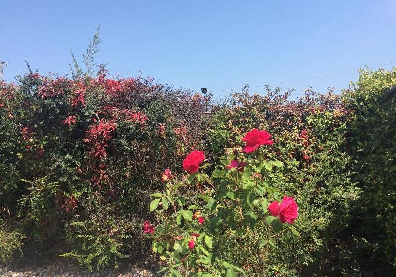 호텔 Hitching Post Studios Inn