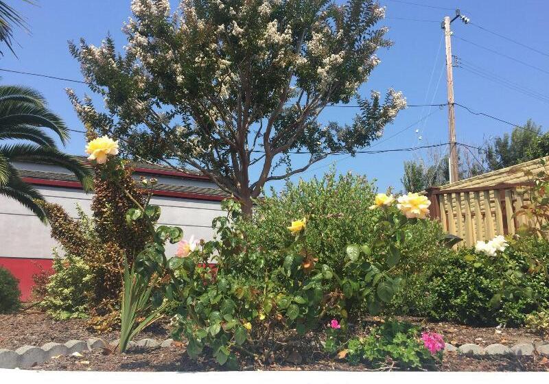 호텔 Hitching Post Studios Inn