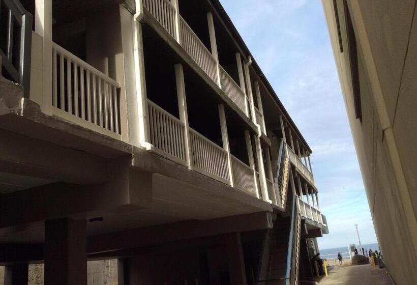 Отель Ocean's 24