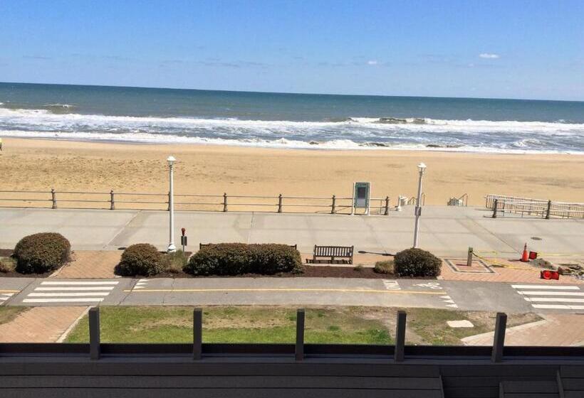 Отель Ocean's 24