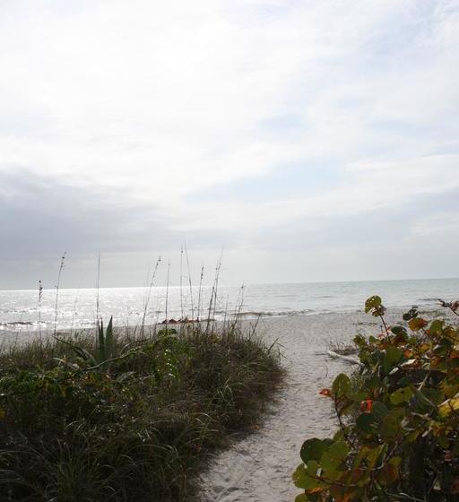 فندق Sea Shells Condominiums