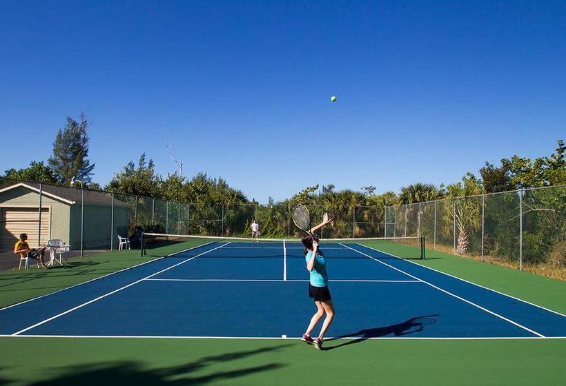 فندق Sea Shells Condominiums