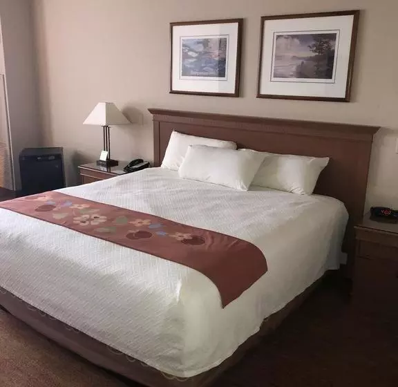 هتل Soaring Eagle Casino And Resor