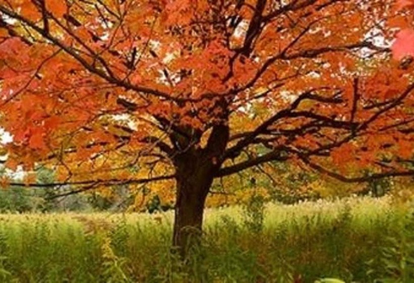 ホテル Starved Rock Lodge & Conference Center