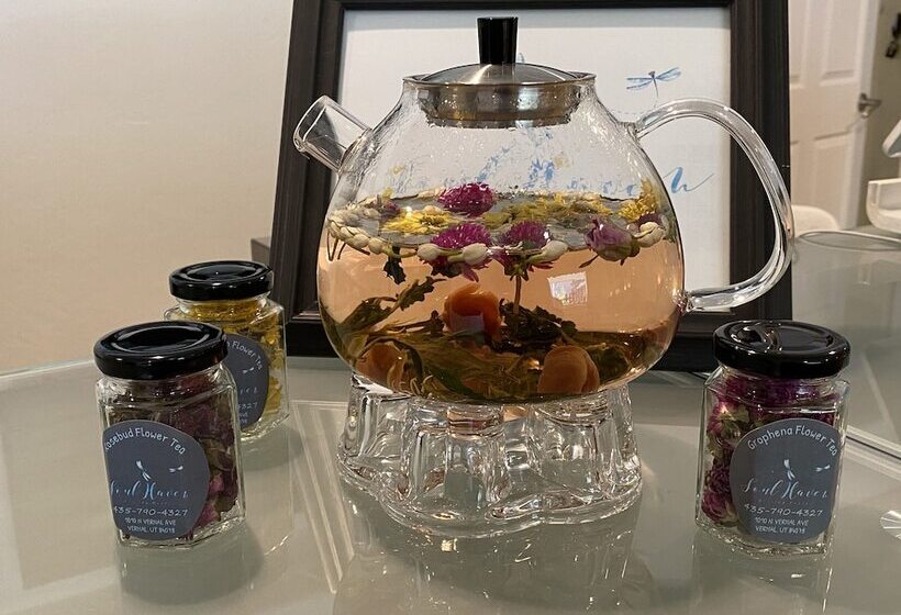 فندق Stone Hollow