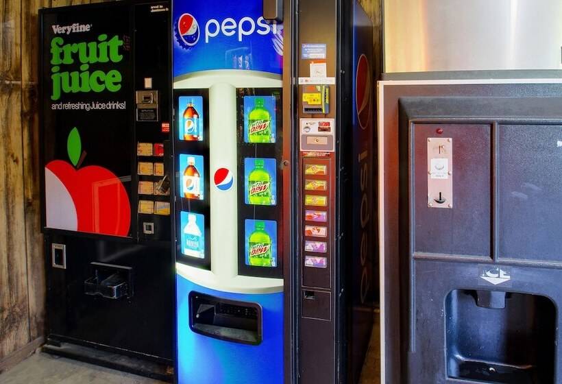 فندق Tennessee Mountain Lodge