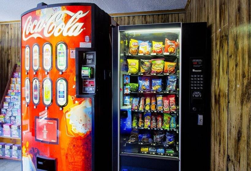 فندق Tennessee Mountain Lodge