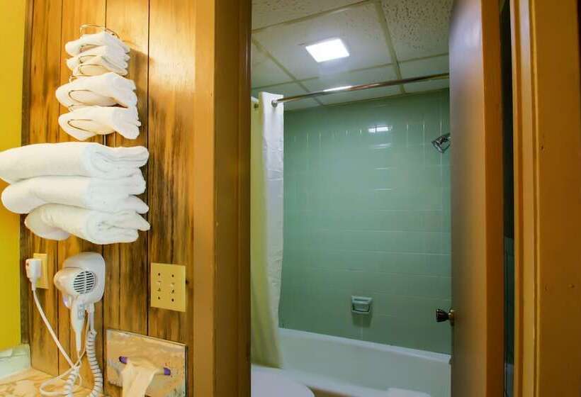 فندق Tennessee Mountain Lodge