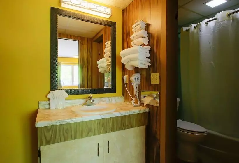 ホテル Tennessee Mountain Lodge