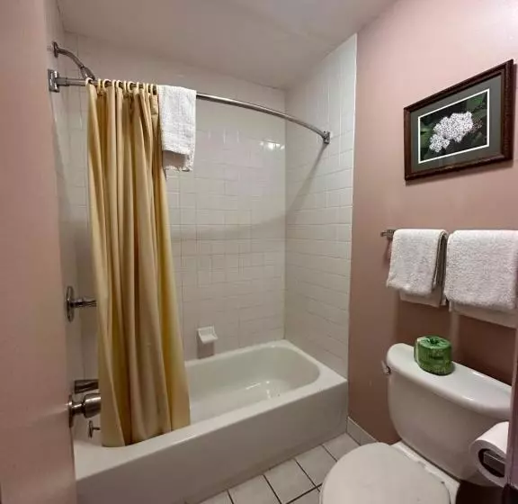 هتل The Starwood Inn