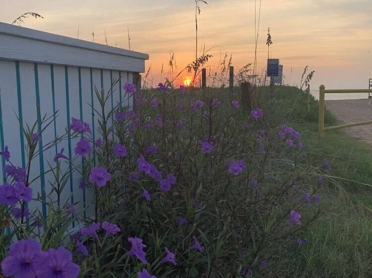 酒店 The Saint Augustine Beach House