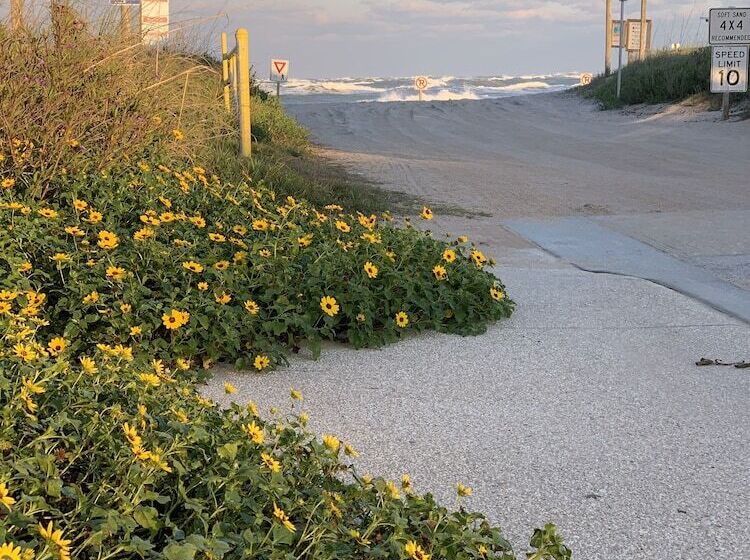 酒店 The Saint Augustine Beach House