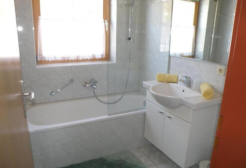 בית מלון כפרי Tonis Appartements Am Achensee