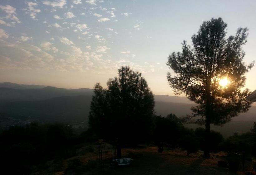 Отель Yosemite Sierra View Bed & Breakfast