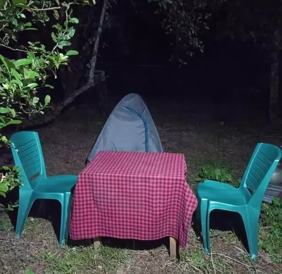 ペンション Bellsbigza Guesthouse