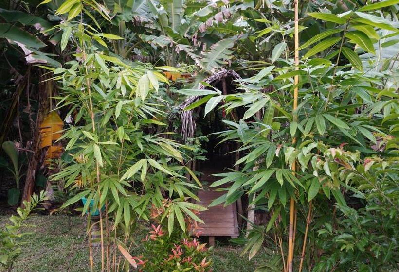 膳宿费 Nature World Safari Resort