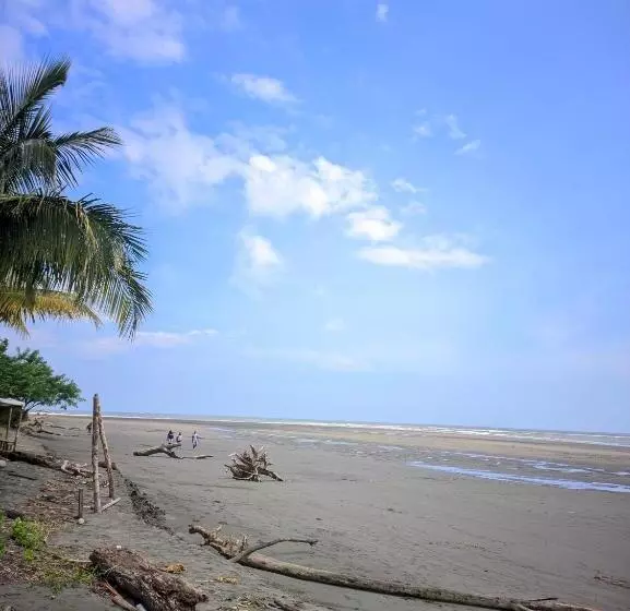 ユースホステル Cabañas En Playa La Barra