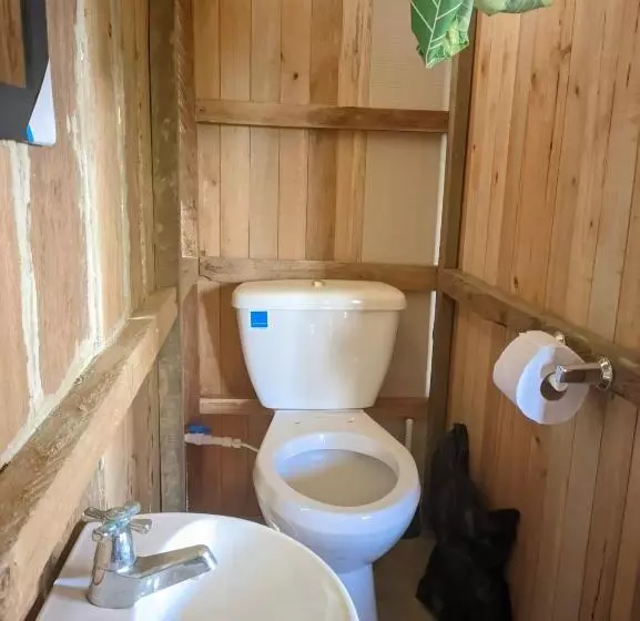 ユースホステル Cabañas En Playa La Barra