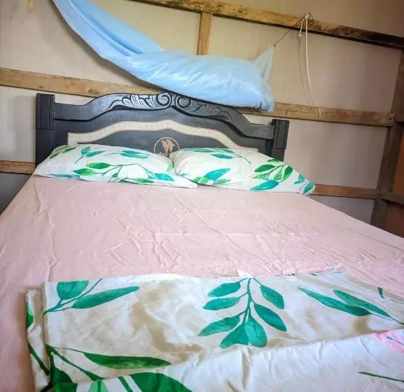 ユースホステル Cabañas En Playa La Barra