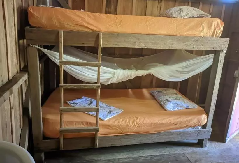 ユースホステル Cabañas En Playa La Barra