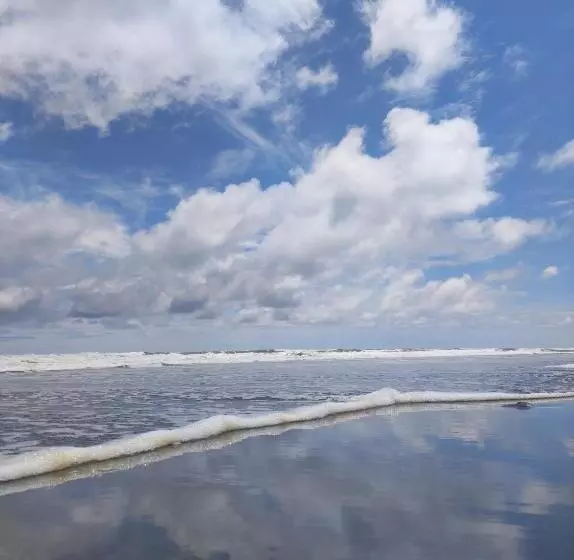 ユースホステル Cabañas En Playa La Barra
