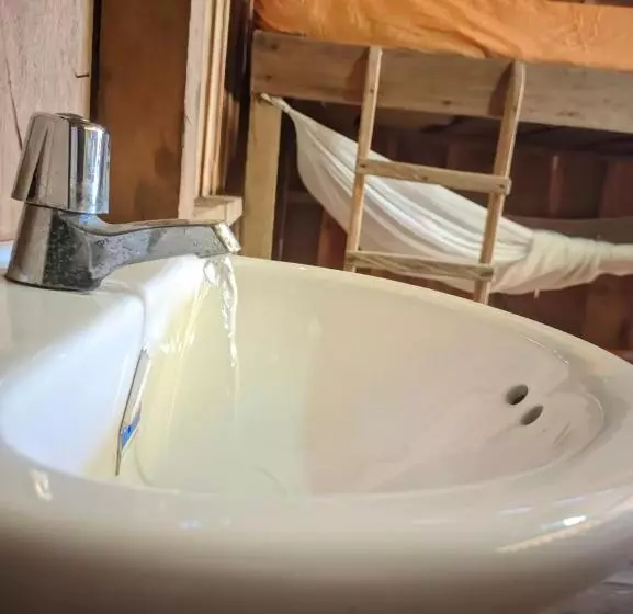 ユースホステル Cabañas En Playa La Barra