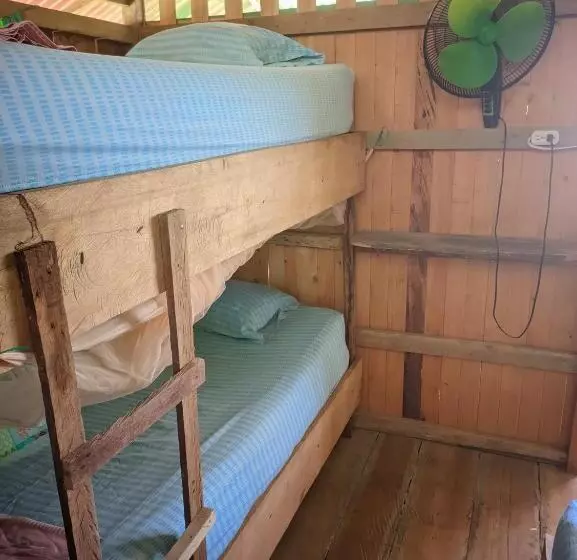 ユースホステル Cabañas En Playa La Barra