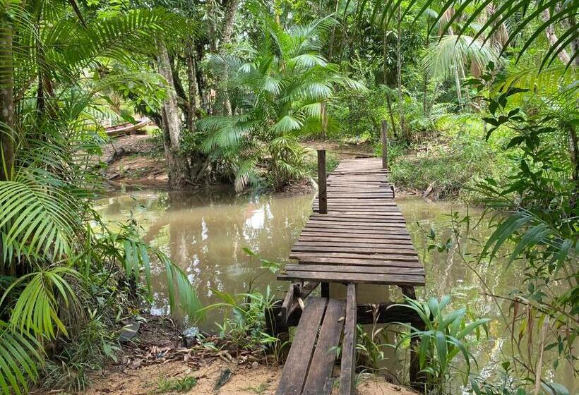 Schronisko Farol Shaw