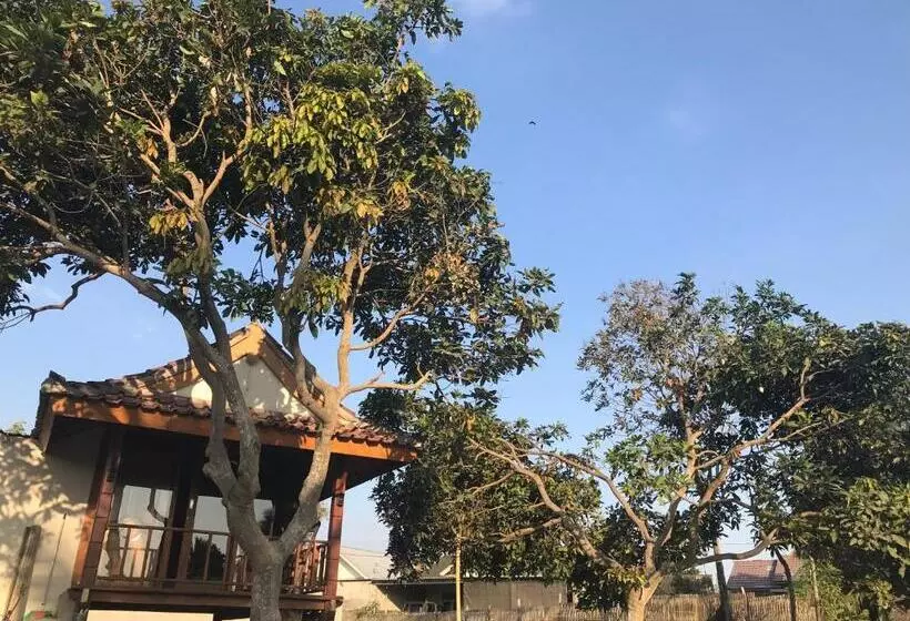 ベッドアンドブレックファースト Muni S Lombok Bungalow