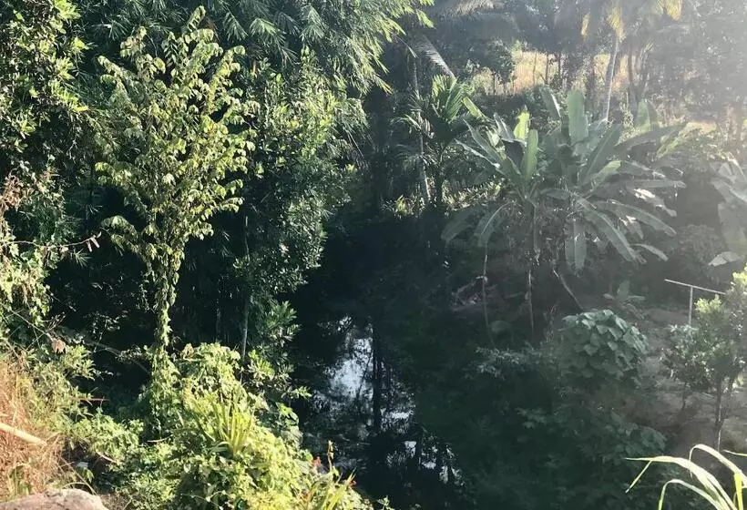 ベッドアンドブレックファースト Muni S Lombok Bungalow