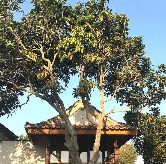 ベッドアンドブレックファースト Muni S Lombok Bungalow