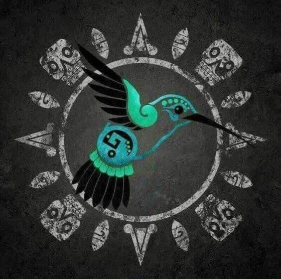 酒店 Colibrí Apizaco Centro