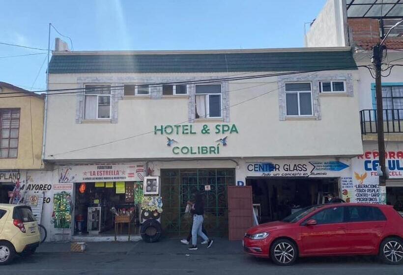 酒店 Colibrí Apizaco Centro