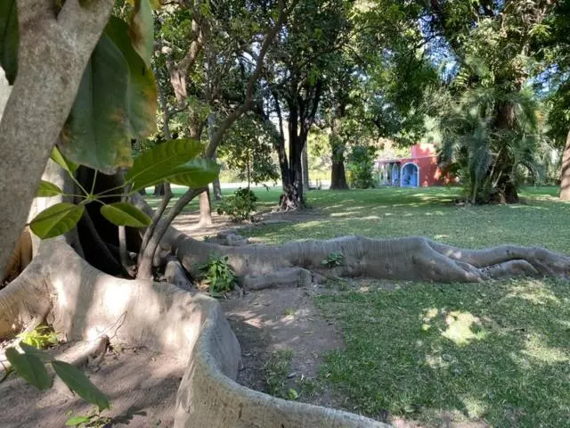 ホテル Hacienda De Teresa