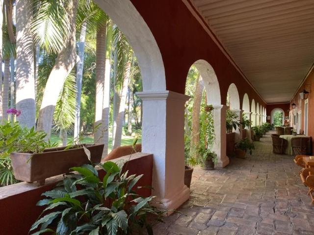 فندق Hacienda De Teresa