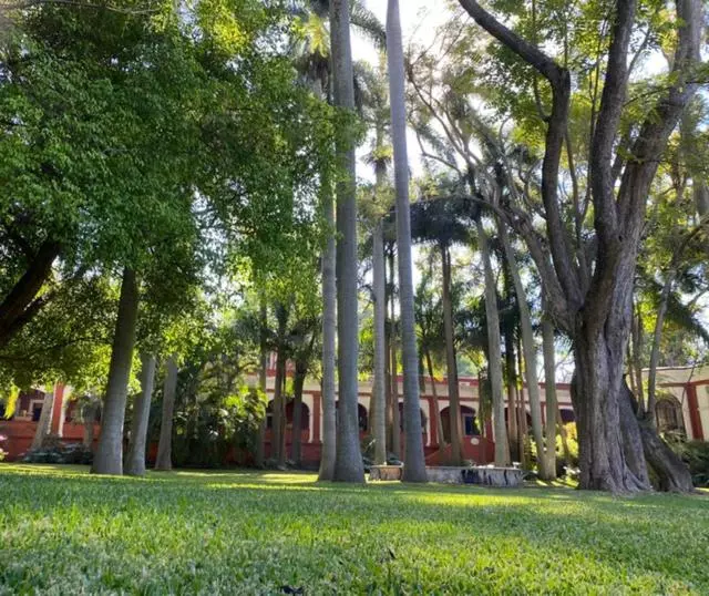 ホテル Hacienda De Teresa