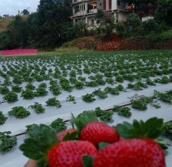 ホテル Natures Living Agro Tourism