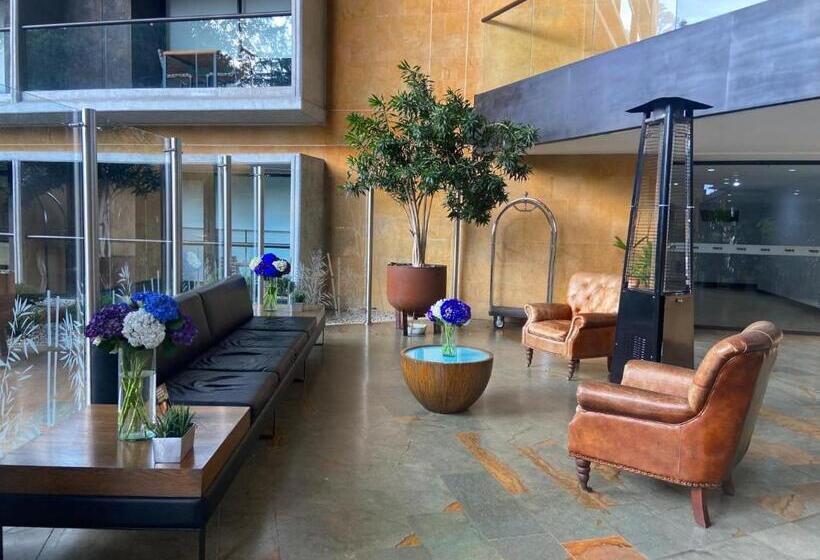 Suite Hotelera   A 5 Minutos Del Aeropuerto