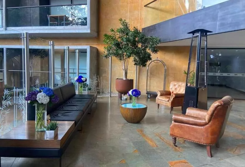 Suite Hotelera   A 5 Minutos Del Aeropuerto