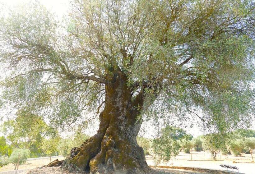 ペンション Casa Fialli