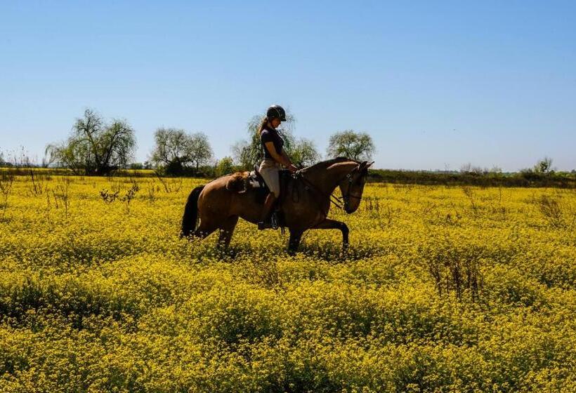 ペンション Casa Fialli