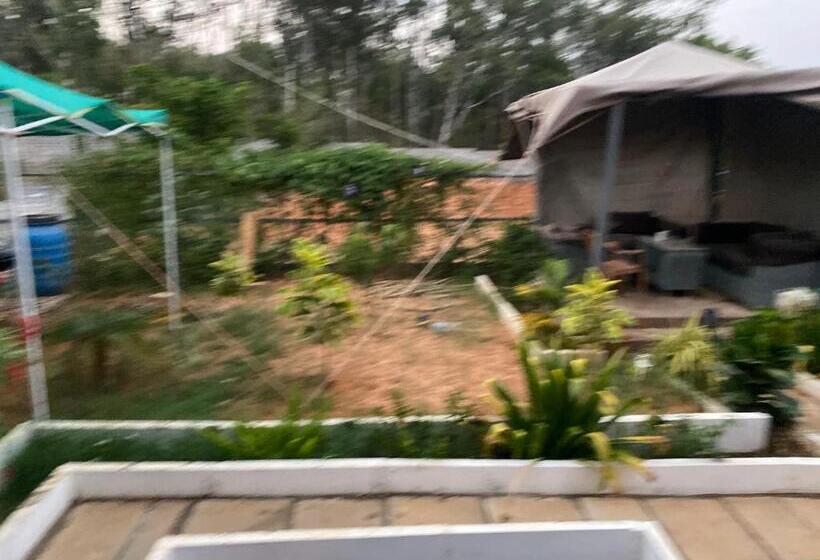 بنسيون Silverlinecloudcottage